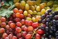 Variety of fresh sweet grapes