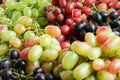 Variety of fresh sweet grapes