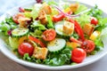 Fresh Garden Salad With Croutons Served on a White Plate in a Casual Dining Setting Royalty Free Stock Photo