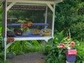 A variety of freshly cut flowers and fruit for sale at a roadside stand on the road to hana Royalty Free Stock Photo