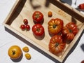 A variety freshly picked of heirloom tomatoes in sunshine