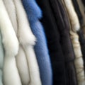 Variety in fur fashion Close up of mink fur coats