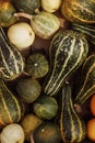 Variety of gourds, different shapes, patterns flat lay.