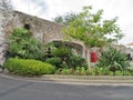 A variety of green plants European fan palms and Sago palms, growing in a landscaped garden