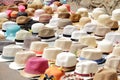 Variety of hats