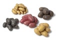 Variety of heirloom potatoes Royalty Free Stock Photo