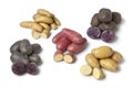 Variety of heirloom potatoes Royalty Free Stock Photo