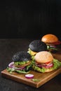 Variety of homemade burgers Royalty Free Stock Photo