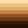 Variety of Human skin tones