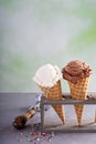 Variety of ice cream cones Royalty Free Stock Photo