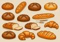 A variety of illustrated breads are displayed on a light background. Royalty Free Stock Photo