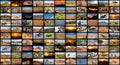 A variety of images of African Landscapes and Animals as a big image wall