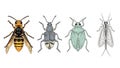 Variety of Insects Illustration Royalty Free Stock Photo
