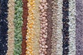 Variety kinds of natural cereal and grain seed stripe background