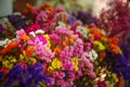 Variety of limonium sinuatum or statice salem colourful flowers. Defocused view, selective focus Royalty Free Stock Photo