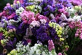 Variety of limonium sinuatum or statice salem flowers in blue, lilac, violet, pink, white, yellow colors in the greek garden shop. Royalty Free Stock Photo