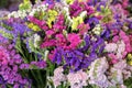 Variety of limonium sinuatum or statice salem flowers in blue, lilac, violet, pink, white, yellow colors in the greek garden shop. Royalty Free Stock Photo