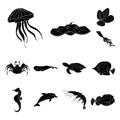 A variety of marine animals black icons in set collection for design. Fish and shellfish vector symbol stock web