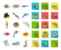 A variety of marine animals cartoon,flat icons in set collection for design. Fish and shellfish vector symbol stock web Royalty Free Stock Photo