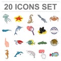 A variety of marine animals cartoon icons in set collection for design. Fish and shellfish vector symbol stock web Royalty Free Stock Photo