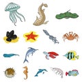 A variety of marine animals cartoon icons in set collection for design. Fish and shellfish vector symbol stock web Royalty Free Stock Photo