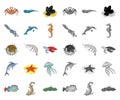 A variety of marine animals cartoon,mono icons in set collection for design. Fish and shellfish vector symbol stock web Royalty Free Stock Photo