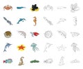 A variety of marine animals cartoon,outline icons in set collection for design. Fish and shellfish vector symbol stock Royalty Free Stock Photo