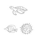 A variety of marine animals outline icons in set collection for design. Fish and shellfish vector symbol stock web