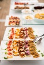 Variety of meat and fish canapes Royalty Free Stock Photo