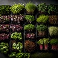 Variety of micro greens - ai generated image