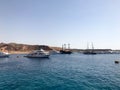 A variety of motor and sailing ships, boats, cruise liners stand on a dock in the port against the background of the blue sea and