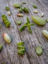 Variety of multiple green succulent leaves ready to be propagated