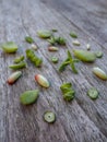 Variety of multiple green succulent leaves ready to be propagated