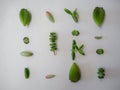Variety of multiple green succulent leaves on a white background ready to be propagated