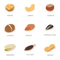 Variety of nuts icons set, isometric style