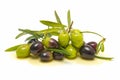 Variety of olives