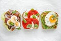 Variety of open sandwich,  wholemeal bread slices  with various toppings: smoked tuna, egg, lettuce, tomatoes, mozzarella, avocad Royalty Free Stock Photo