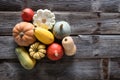 Variety of organic gourds, pumpkins, blue and kuri squashes