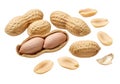 A variety of peanuts displayed with one opened to show the kernels inside clearly Royalty Free Stock Photo