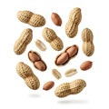 A variety of peanuts and peanut shells floating in mid-air against a white background Royalty Free Stock Photo