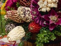 Variety of Peruvian Corn Presented in a Decorative Manner Royalty Free Stock Photo