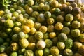 Variety of Peruvian lemons from the Peruvian jungle