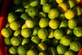 Variety of Peruvian lemons from the Peruvian jungle