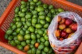 Variety of Peruvian mango from the Peruvian jungle Royalty Free Stock Photo