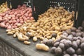 variety of potatoes, finger, fingerling, farmers market, purple