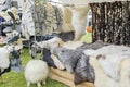 A variety of products made from the wool, and the fleeces of the sheep on the sheepshearingfestival in Exloo, the Netherlands