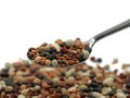 Variety of protein rich colorful legumes on silver spoon with copy space, close up