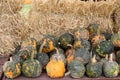 Long wooden table with variety of pumpkins and hay, ready for sale at local farmers market Royalty Free Stock Photo