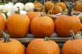 Variety of Pumpkins in Fall, MA, USA Royalty Free Stock Photo