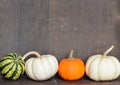 Variety of pumpkins, gourds and squash on wooden background Royalty Free Stock Photo